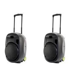 Pack Ibiza Sound Port 12 VHF MkII - 2 - 1
