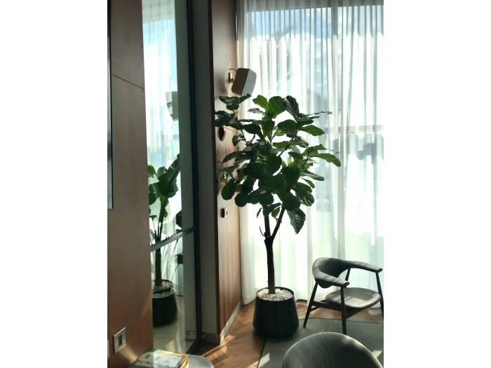 WORK Pro NEO 4 Caja acústica pasiva 30 W @ 8 Ohm, 16/8/4/2 W @ L100V.