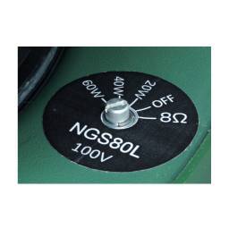 WORK Pro NGS 80 L Altavoz para jardín 2