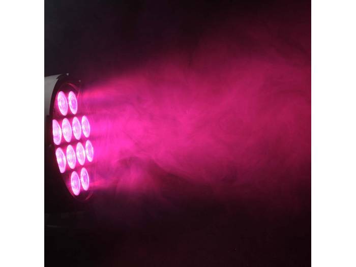 Cameo FLAT PRO® 12 IP65 - Foco Outdoor PAR LED RGBWA plano 12 x 10 W con Carcasa negra