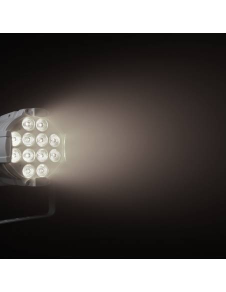 Cameo STUDIO PAR DTW - 