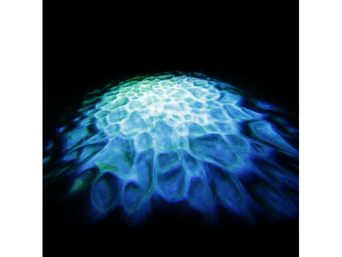 Cameo SCUBA - Luz de efectos acuáticos con LED de 90 W, rueda de colores y dos lentes