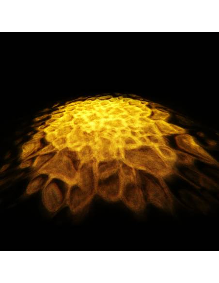 Cameo SCUBA - Luz de efectos acuáticos con LED de 90 W, rueda de colores y dos lentes