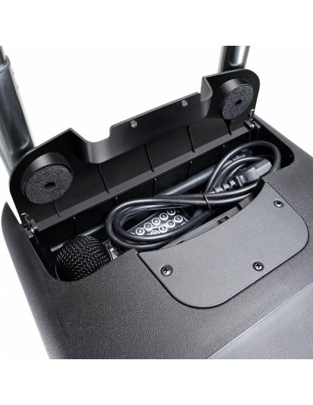 LD Systems ROADBUDDY 10 HBH 2 B6 - 