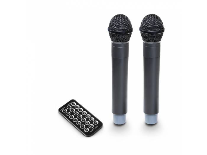 LD Systems ROADBUDDY 10 HHD 2 - 