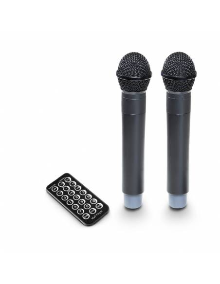 LD Systems ROADBUDDY 10 HHD 2 B6 - 