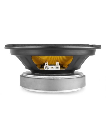 Fenton Wide Range Kevlar 20cm 250W RMS | Mas Que Sonido