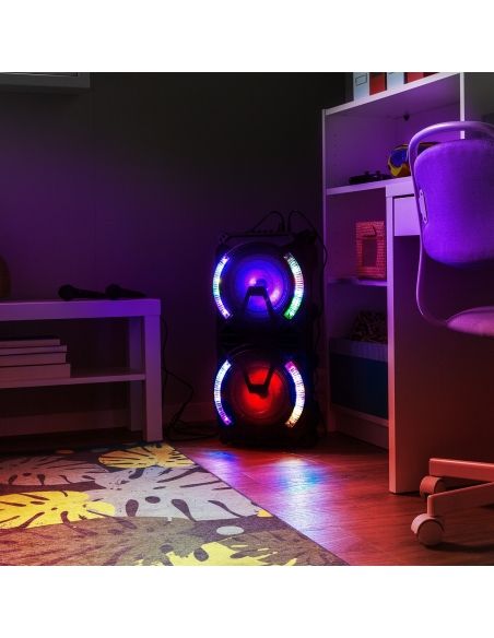 Fenton LIVE280 Conjunto Karaoke 2x 8” 178370 - 11