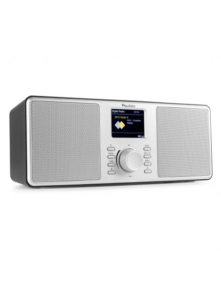 Audizio Monza DAB+ Radio estéreo Plata 102418 - 1