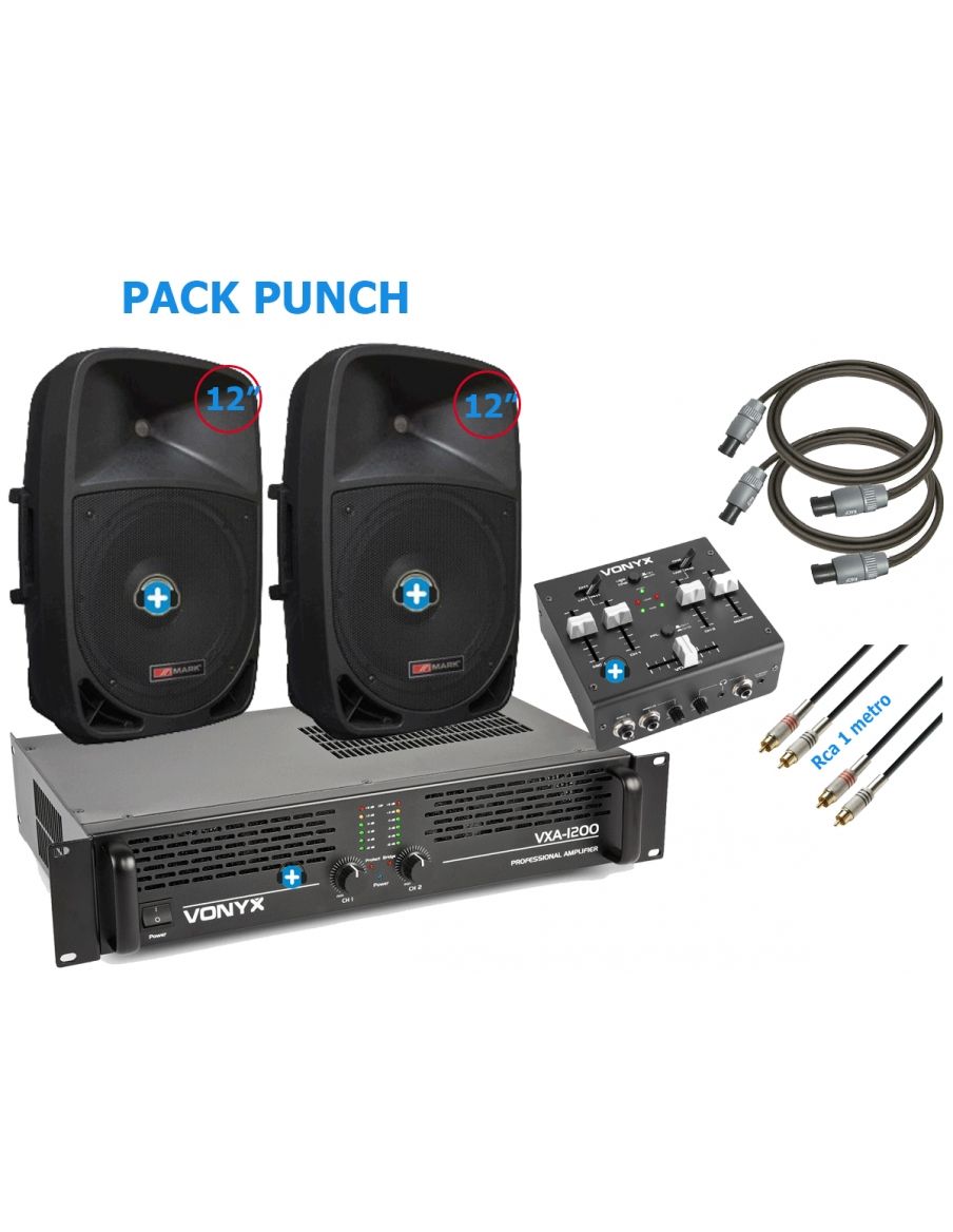 Equipo de sonido Pyle Pro PACK PUNCH