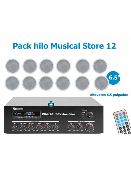 Pack hilo Musical Store-12 - Equipo de sonido con 12 altavoces y amplificador