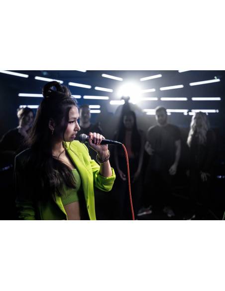 SM58-LCE Micrófono Dinámico Cardiodie Vocal. - 7