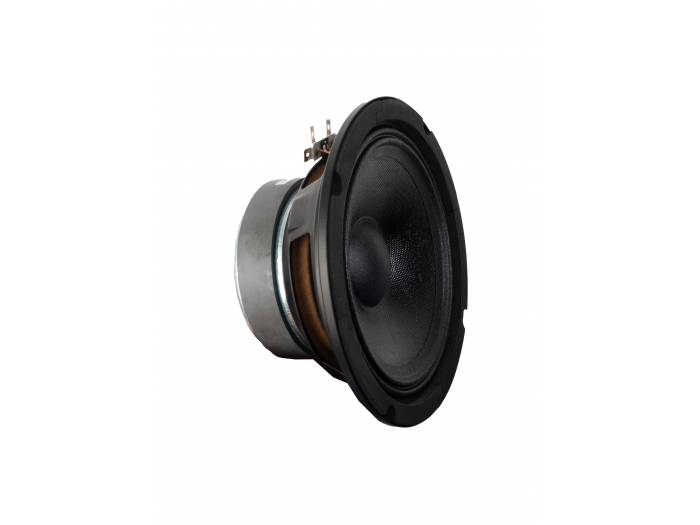 FONESTAR  FPW-100 - 1