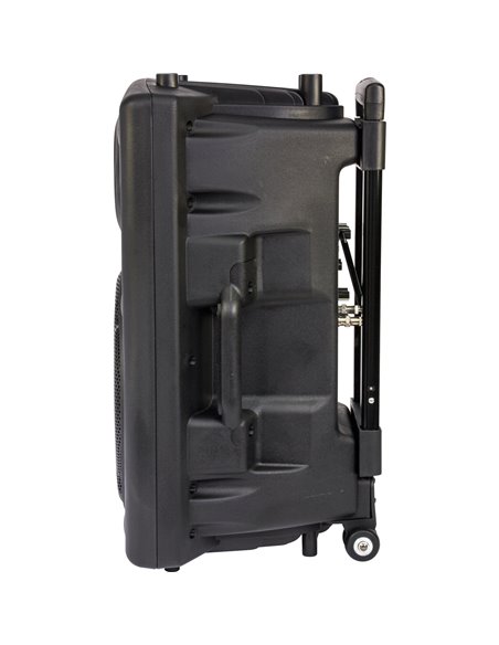 IBIS 12'' PORTABLE PA SYSTEM W/ 2 VHF MIC /USB-SD REC /VOX, BLUETOOTH PORT12VHF-BT PORT12VHF-BT