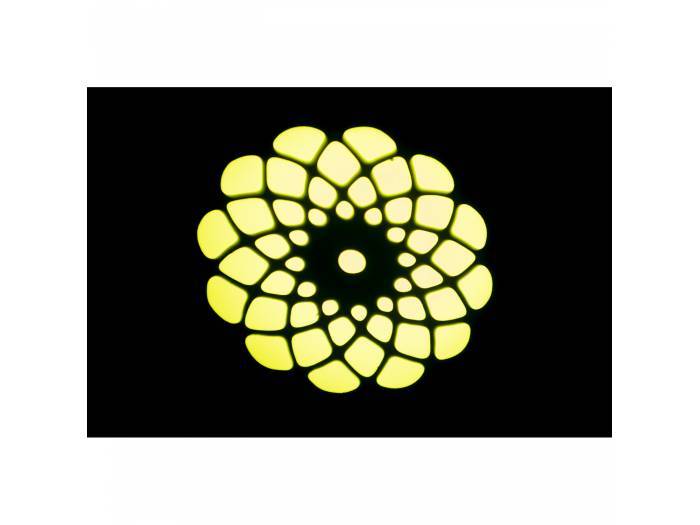 Ibiza Light STAR-WASH-BL Mini Móvil Cabeza Wash con Spot 30W - 6