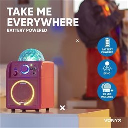Vonyx SBS55P Conjunto Karaoke rosa con luces LED 2
