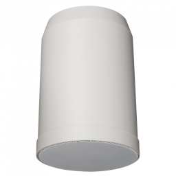 DAP Audio HS-510P Altavoz para colgar de 10 W, 5" - 1