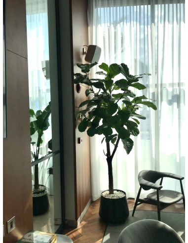 Equipo de sonido Sala 8