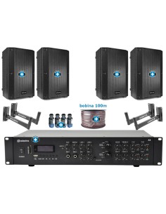 Pack de Sonido 306 Premium - Amplificador con zonas y 4 Altavoces de 10 pulgadas pasivos 2