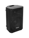 Ibiza Sound XTK10-MKII ALTAVOZ PASIVO  10 pulgadas 300W