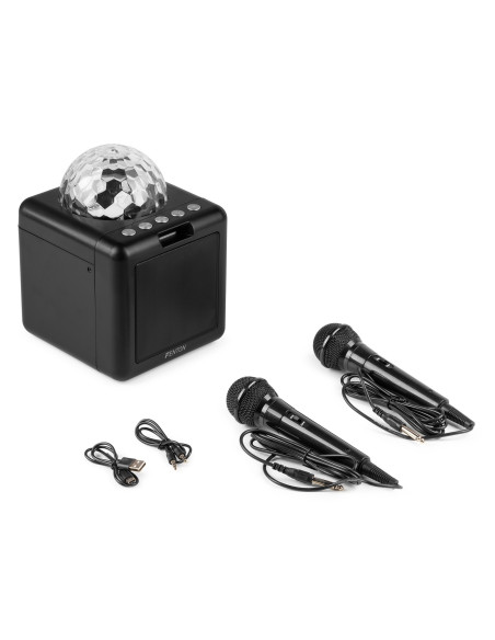 Fenton  KAR15B Altavoz Karaoke con 2 micrófonos Negro