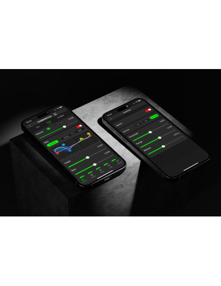 pantalla de uso sistema carbon
