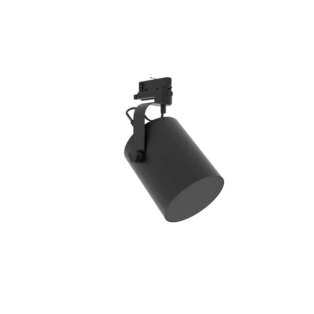 Work Pro RL 5 A | Altavoz Inalámbrico 30W para Carril Universal