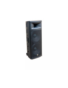 Work Pro ASP 1215 A | Subwoofer Activo 15" para Instalación Profesional