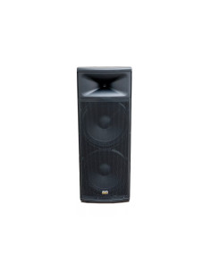 Work Pro ASP 1215 A | Subwoofer Activo 15" para Instalación Profesional 2