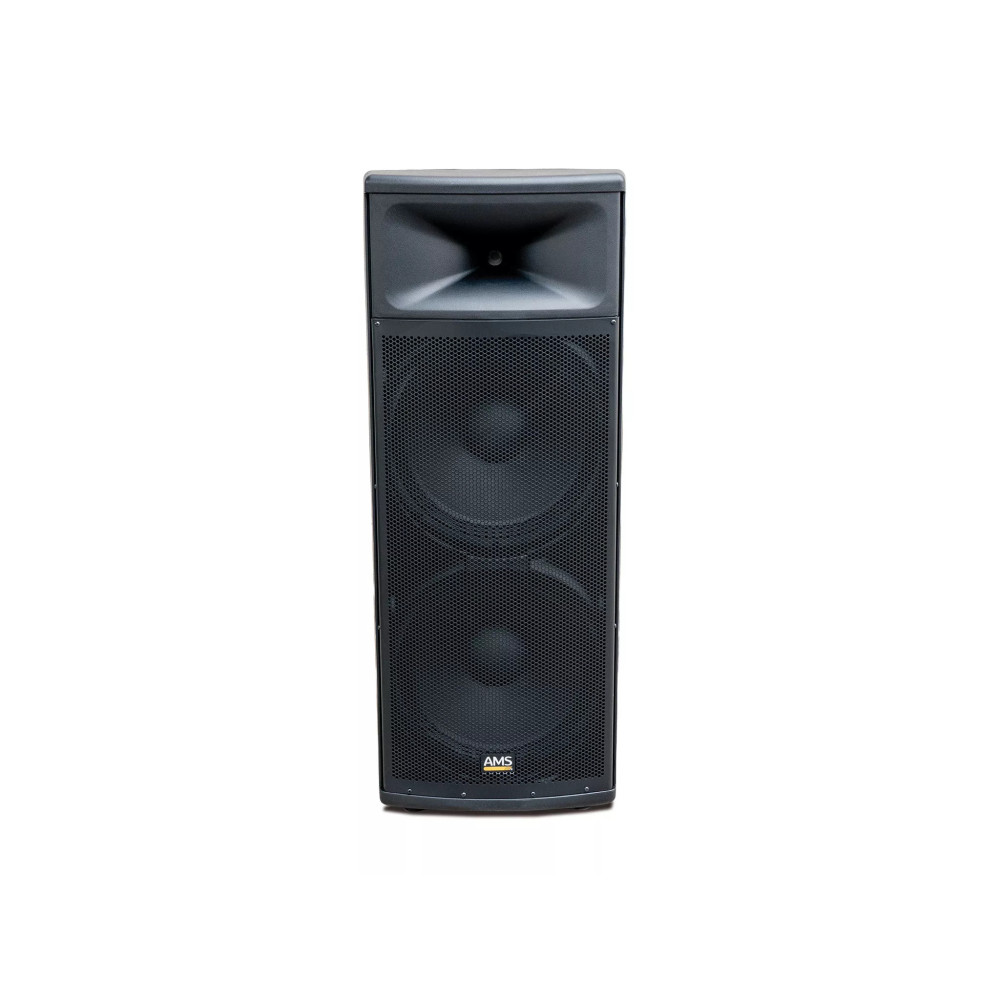 Work Pro ASP 1215 A | Subwoofer Activo 15" para Instalación Profesional