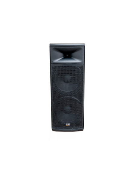 Work Pro ASP 1215 A | Subwoofer Activo 15" para Instalación Profesional