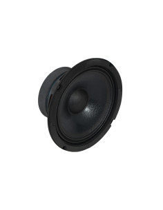 FONESTAR FPW-100 Altavoz woofer