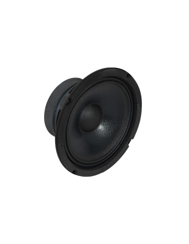 FONESTAR FPW-100 Altavoz woofer
