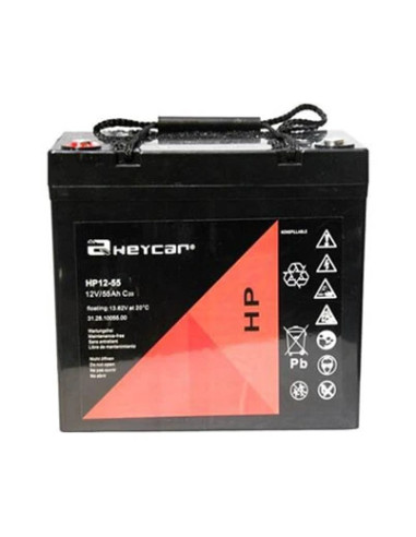 FONESTAR BAT-1255 Batería AGM 12 V y 55 Ah
