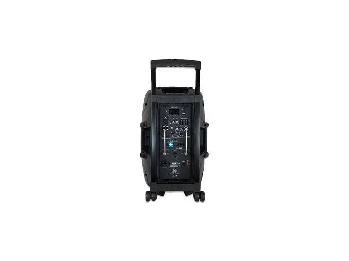 Acoustic Control PORTABLE 12 - Portatil con bateria - 2