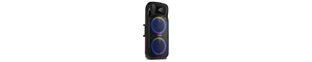 Altavoz Bluetooth Grande
