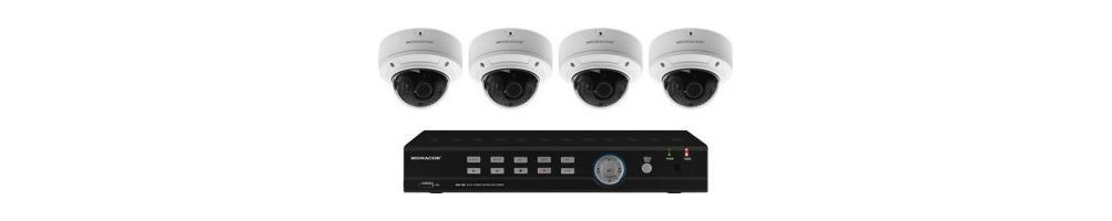 Seguridad y Vigilancia